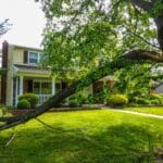 A tree in front of a house with a broken branch from a storm