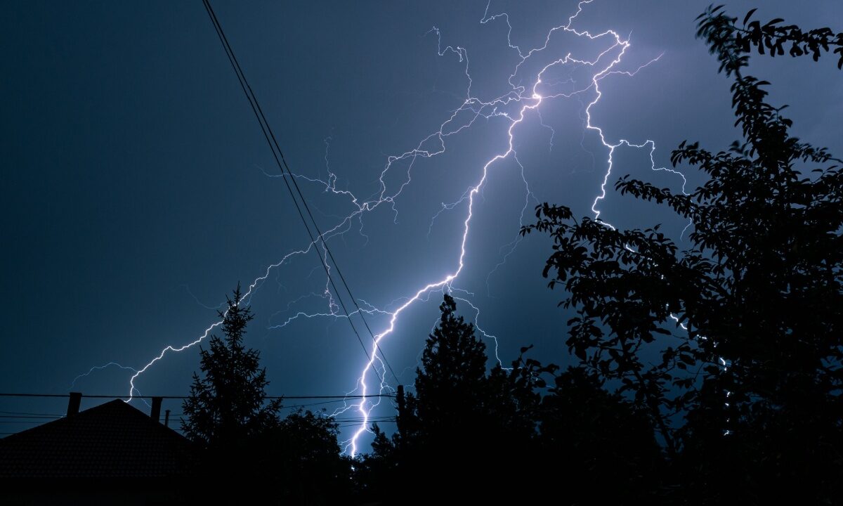 lightning flashing behind several tall trees