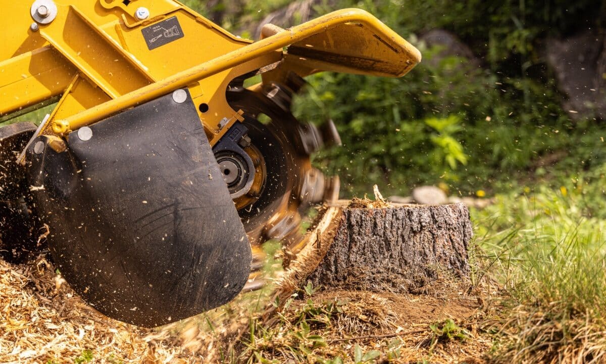 a stump grinding working on a tree stump sticking out of the ground