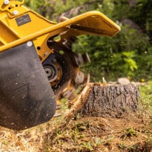 a stump grinding working on a tree stump sticking out of the ground