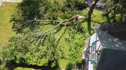 a large tree branch that snapped off during a storm and is lying on the ground by a house